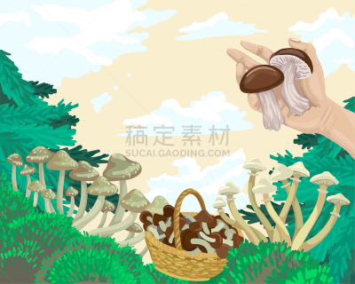 篮子,绘画插图,概念,矢量,蘑菇,森林,水果,动物手,牛肝菌,蔬菜