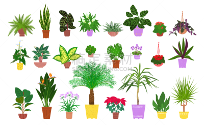 set various potted tropical houseplants flat