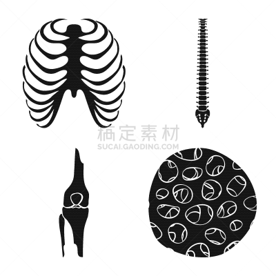 生物学,医疗标志,健康保健,姿态,整形器具,胫骨,腓骨,门诊部,笼子,科学