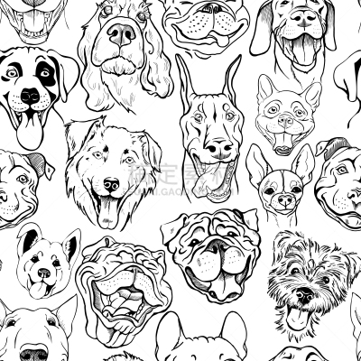 纯种犬,狗,式样,动物鼻子,可爱的,白色,宠物,SIM卡,壁纸,警犬
