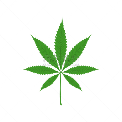 分离着色,健康保健,塔法里教教徒,草,占贾,叶子,矢量