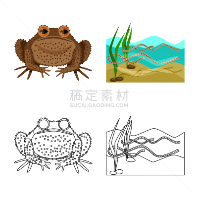 野生动物,藓沼,图标集,生物学,有毒物质,青蛙,池塘,草,动物,两栖纲