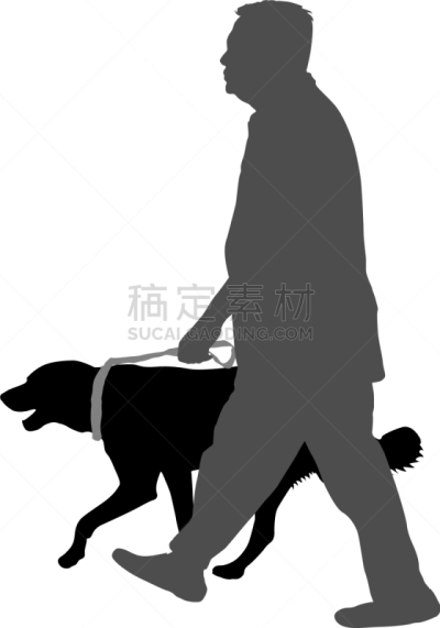 狗,男人,白色背景,纯种犬,梗犬,动物,斯班尼犬,剪影,坐,训练