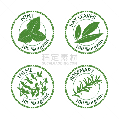 有机食品,草本,标签,分离着色,自然,华丽的,清新,名片,叶子