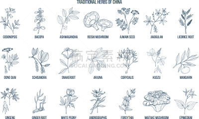 传统,草药,生物学,有机食品,自然,牡丹,健康保健,草本,药