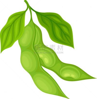 open and closed green soybean pods items