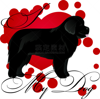 纽芬兰,可爱的,纯种犬,壁纸,狗,自然美,动物,马克杯,爱
