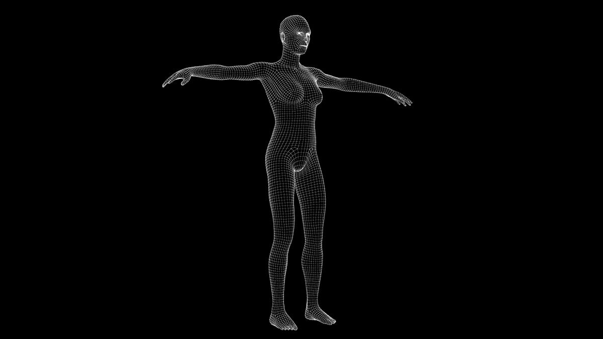 女性X光全息图的3D动画