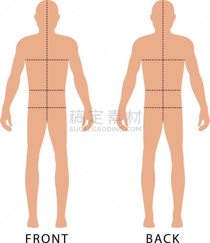 男人,时尚,腰部,臀,人,图像,矢量,全身像,分离着色