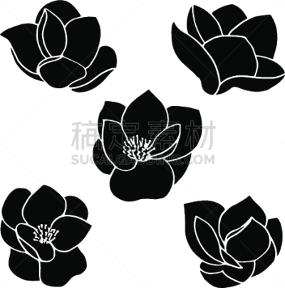 玉兰类,手,黑色,传媒,线条,铅笔,复古风格,婚礼,模板,春天
