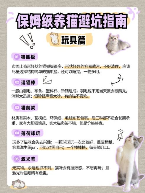 宠物猫咪知识科普套装小红书配图预览效果