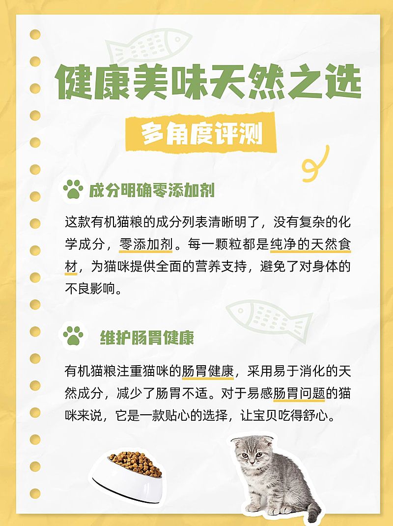 宠物产品测评小红书套装小红书配图