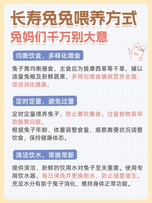 宠物兔子知识科普套装小红书配图预览效果
