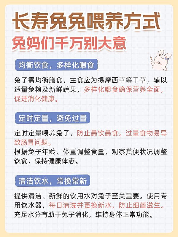 宠物兔子知识科普套装小红书配图