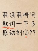 模板缩略图