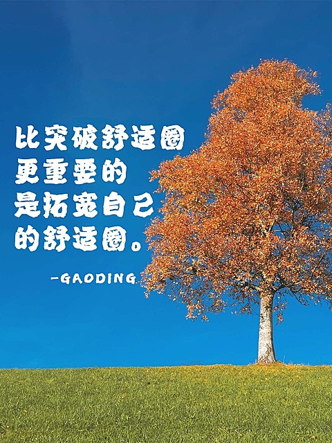 情感文案语录实景小红书封面