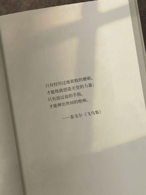 情感语录文案书单小红书封面预览效果