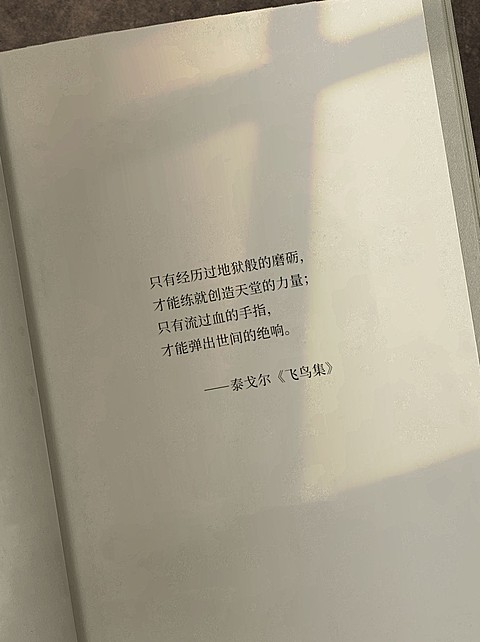 情感语录文案书单小红书封面