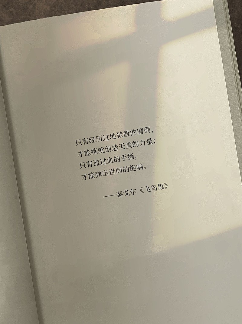 情感语录文案书单小红书封面