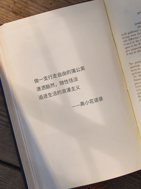 书单情感文案语录小红书封面预览效果