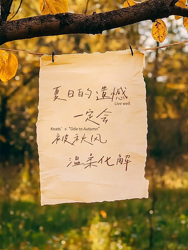 情感文案语录唯美感小红书封面aigc