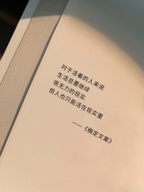 书摘文字语录小红书封面aigc预览效果