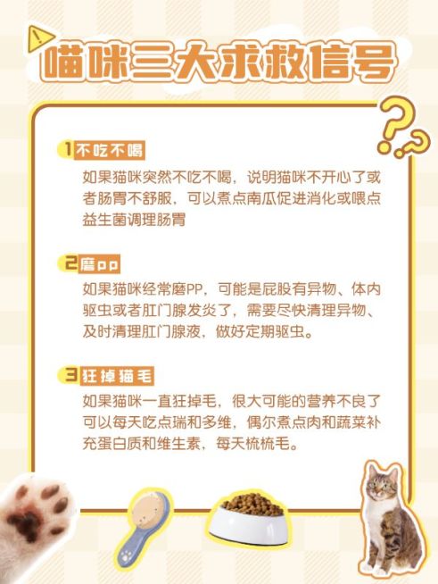 宠物攻略指南知识科普小红书套装小红书配图预览效果