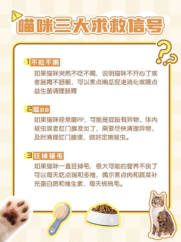 宠物攻略指南知识科普小红书套装小红书配图