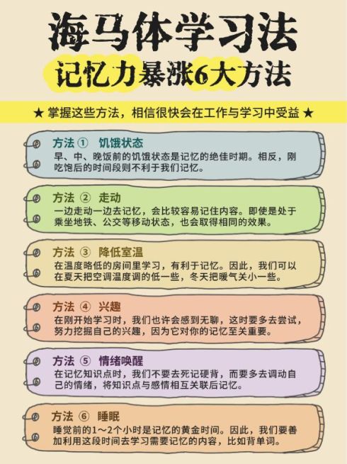 教育学习方法知识分享小红书配图预览效果