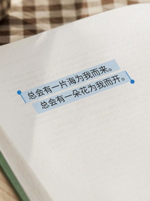 情感文案语录书单小红书封面预览效果