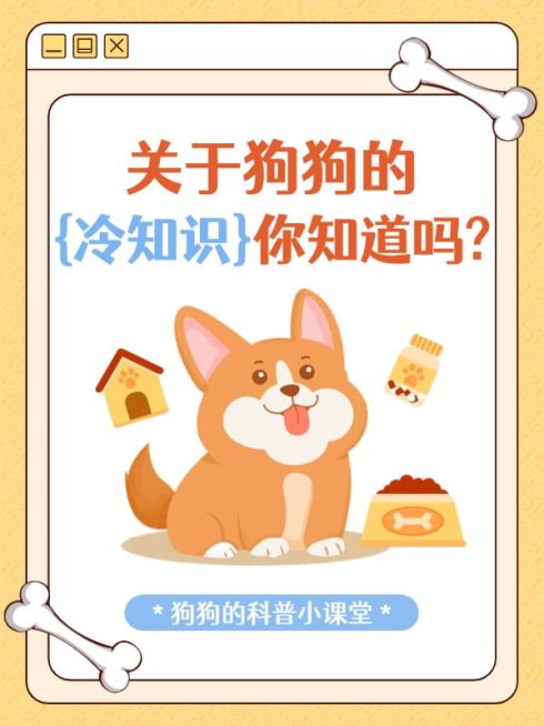 宠物知识科普小红书套装小红书封面预览效果