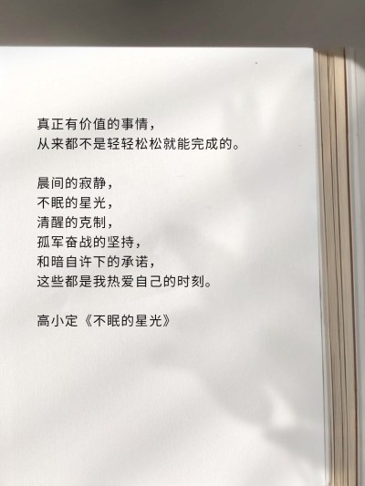 情感文案语录书摘小红书封面aigc