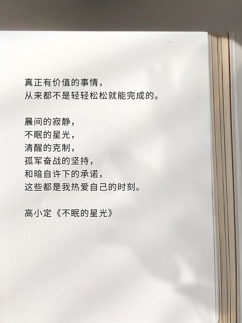 情感文案语录书摘小红书封面aigc