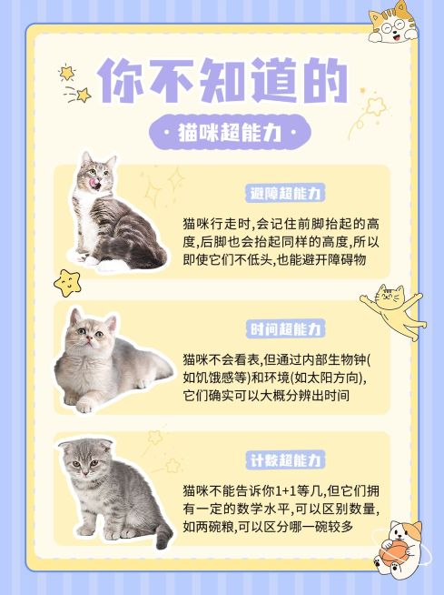 宠物知识科普手帐风小红书配图预览效果