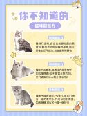 模板缩略图