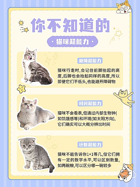 宠物知识科普手帐风小红书配图