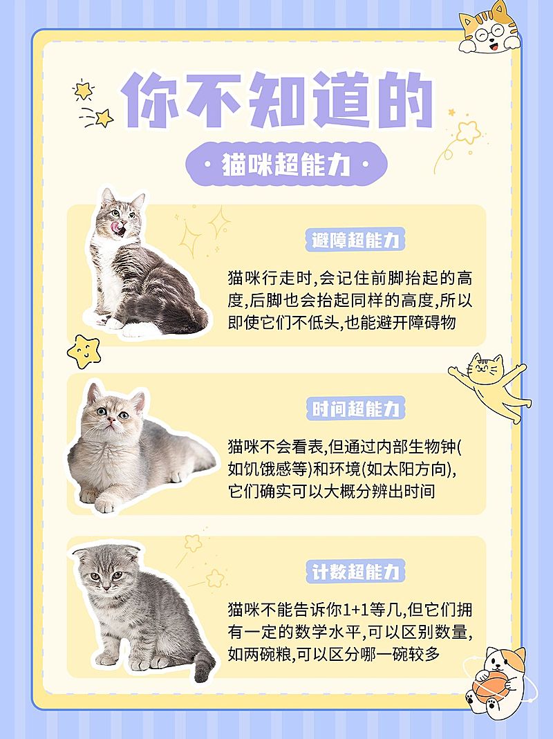 宠物知识科普手帐风小红书配图