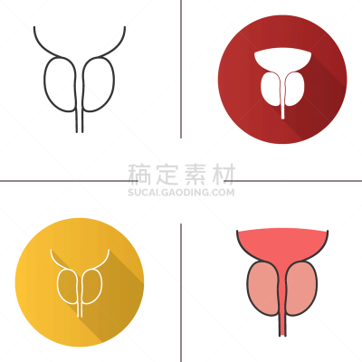 前列腺,尿道,计算机图标,生物学,人体解剖学,健康保健,部分,直的,品牌名称,外分泌腺