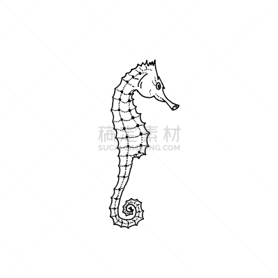 海马,动物手,书,图像,性格,动物,品牌名称,绘制,剪影,着色