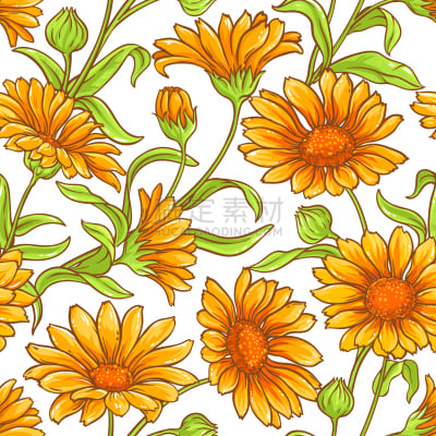 Corn Marigold,花纹,健康保健,芦笋,化妆用品,万寿菊,植物,夏天,草图,花