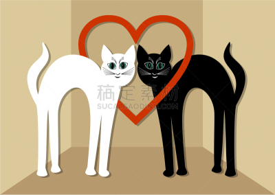 白色,猫,自然美,黑色,一见钟情,两只动物,可爱的,宠物,庆祝,爱