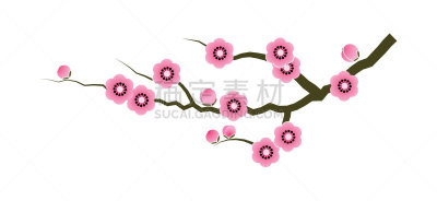粉色,枝,樱之花,请柬,边框,泰国,婚礼,春天,中国,绘画插图