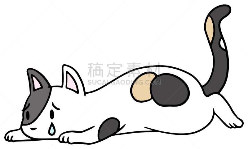 矢量,绘画插图,猫,惊骇,十二生肖,恐怖,简单,动物,宠物商店