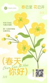 模板缩略图