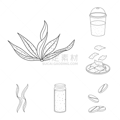 素食,食品,图标集,式样,蔬菜,健康保健,清新,营养品,维生素,草