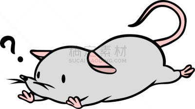矢量,鼠,绘画插图,动物研究,科学实验,十二生肖,哺乳纲,动物,实验大白鼠,问号