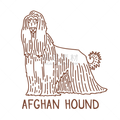 阿富汗猎犬,乱画,分离着色,动物手,训服,可爱的,喀布尔,纯种犬,纺织品,灰猎犬