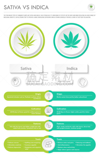 信息图表,垂直画幅,商务,健康保健,心肺系统,替代医药,比较,分子,受体,淋巴系统