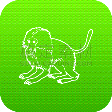 猴子,狮尾狒狒,绿色,计算机图标,可爱的,野生动物,肖像,灵长目,猿,哺乳纲