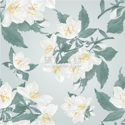 绘画插图,茉莉,花蕾,矢量,纹理,蓝色背景,嫩枝,水彩画,花,复古